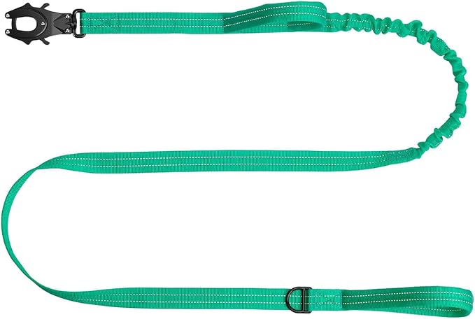 ICEFANG Tactical Dog Leash,K9 Training Walking Bungee Lead with 2 Control Handle,Heavy Duty Quick Release Metal Clasp,for Medium Large Breed (Teal, 6 FT)-Mewly Pet