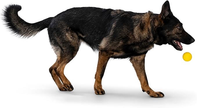 WEST PAW Boundr Ball Dog Fetch Toy – Bouncing Toys for Dogs, Fetch, Catch, Chewing, Play – Floatable, Recyclable Balls – Small Dandelion Yellow/Hot Pink 2-Pack-Mewly Pet