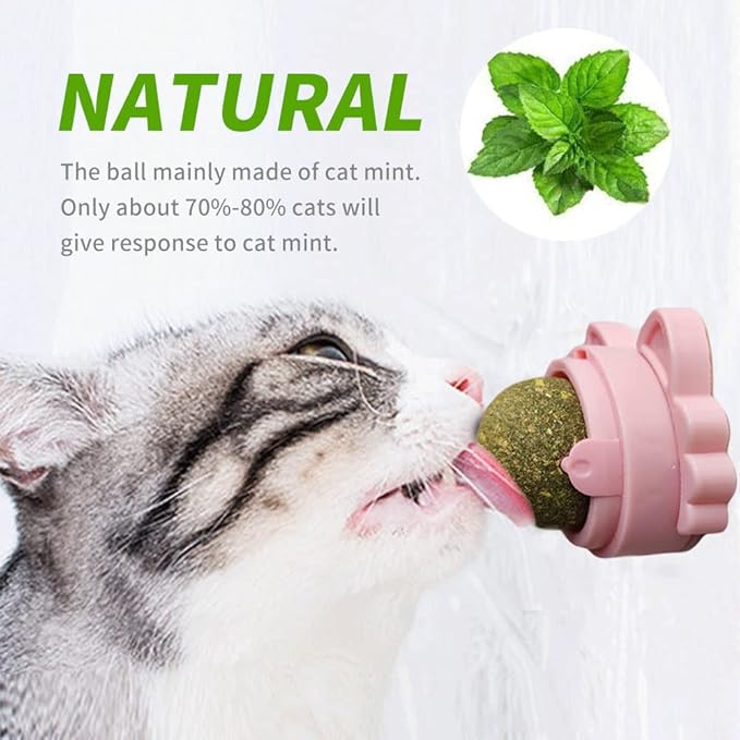Oncpcare 3 Pack Rotatable Edible Catnip Balls for Cats Wall Cat Mints Ball Toys for Indoor Cats Cat Removal Hairball Toys Catnip Balls Treats for Kitten Kitty Playing Chewing-Mewly Pet