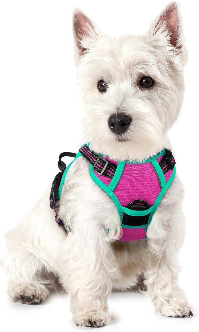rabbitgoo Dog Harness No Pull with 2 Leash Clips, Adjustable Soft Padded, Reflective Oxford No Choke Pet Vest with Easy Control Handle for Large Dogs, Hot Pink & Turquoise, XS-Mewly Pet