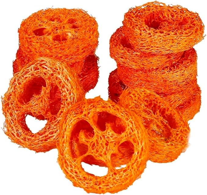 15 Pcs Fruit Flavored Loofah Slices Rabbit Chew Toys Guinea Pig Chew Toys Small Pet Chews Bunny Toys for Teeth Rabbit Toys-Mewly Pet