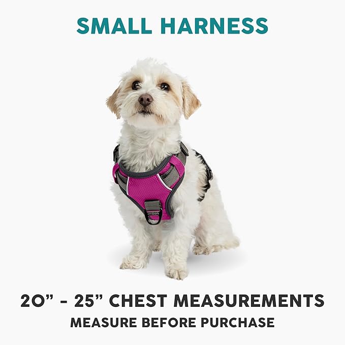 Embark Adventure Dog Harness, Reflective Trim No Pull Dog Harnesses for Small Sized Dogs - Military Grade Nylon, Front Clip with Gel Lined Handle.-Mewly Pet