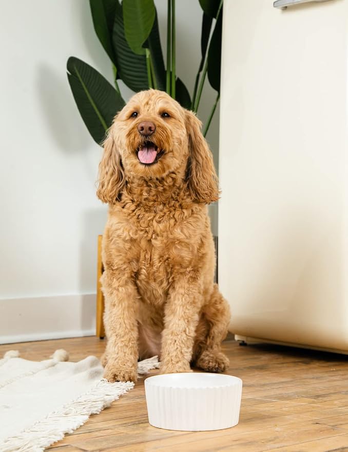 Waggo Ripple Ceramic Dog Bowl for Medium and Large Breeds - Modern with Matte Finish, Heavyweight Durable Pet Food and Water Dish Crock, Dishwasher Safe (Small, White)-Mewly Pet