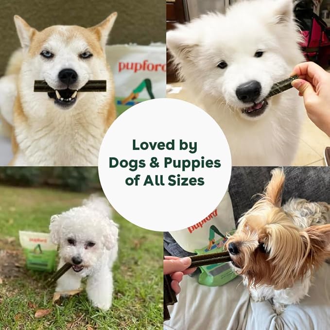 Pupford Dental Chews for Dogs, All-Natural 4-Inch Sticks for Plaque, Tartar & Bad Breath, Grooved Texture, Limited Ingredients, Made in USA (14 Count)-Mewly Pet