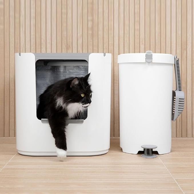 Modkat® XL Litter Box, Top or Front-Entry Configurable, Full Height Seamless Base, Reusable Litter Liners, Sifting Litter Scoop, 2X Bamboo Charcoal Filters - Black-Mewly Pet