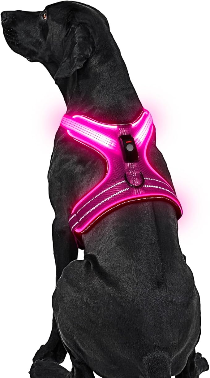Light Up Dog Harness, Rechargeable LED Dog Harness with Battery Level Indicator, Adjustable Reflective Safety Vest for Night Walking, Soft Mesh Lighted Harness for Medium Large Dogs(5-90lbs)-Mewly Pet