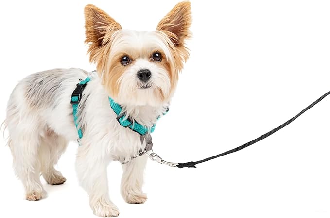 PetSafe 3 in 1 Dog Harness - No Pull Solution for Dogs - Reflective Dog Harness - Front D-Ring Clip Helps Stop Pulling - Comfortable Padded Straps - Top Handle Enhances Control - Teal - Extra Small-Mewly Pet
