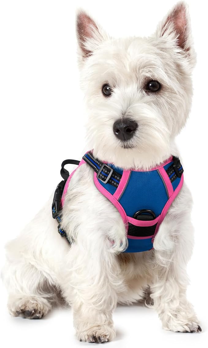 rabbitgoo Dog Harness No Pull with 2 Leash Clips, Adjustable Soft Padded, Reflective Oxford No Choke Pet Vest with Easy Control Handle for Large Dogs, Blue & Hot Pink, XS-Mewly Pet
