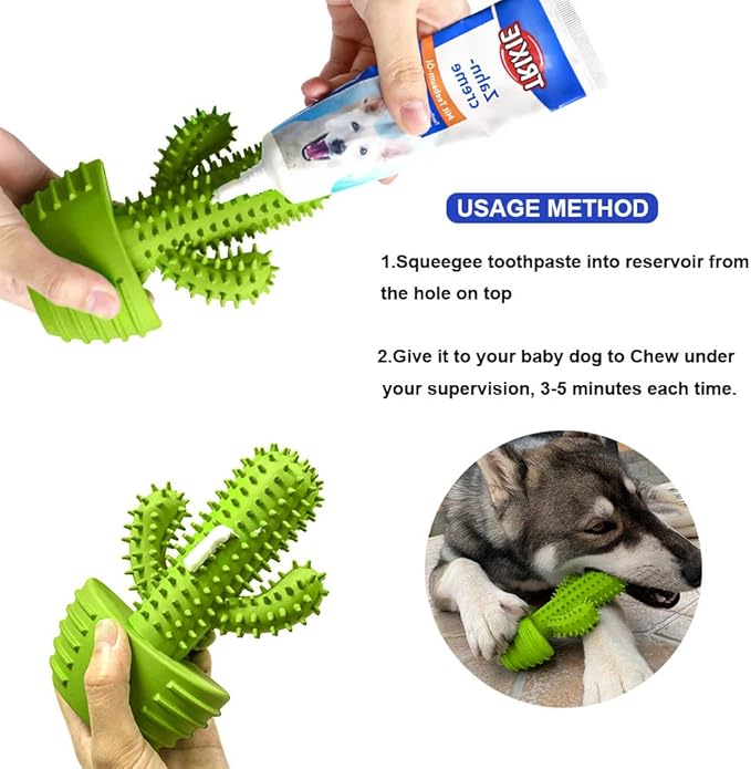 Dog Chew Toys, Toothbrush Stick Teeth Cleaning Brush Dental for Small Medium Large Dog, Rubber Squeaky Toys for Aggressive Chewers Cactus Tough Toys-Mewly Pet