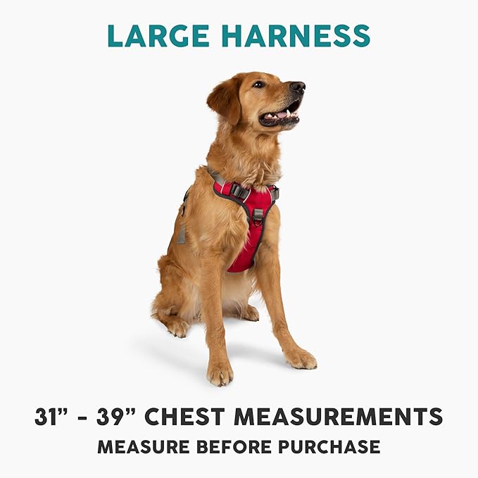 Embark Adventure Dog Harness, Reflective Trim No Pull Dog Harnesses for Small Sized Dogs - Military Grade Nylon, Front Clip with Gel Lined Handle. Soft & Padded Puppy-Mewly Pet