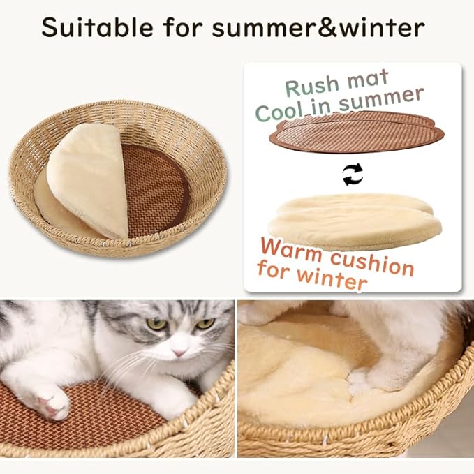 Wooden Cat Tree for Large Cats, Modern Multi-Level Condo with Natural Wood, Indoor Cat Furniture for Medium and Big Pets (Cream Y909S)-Mewly Pet