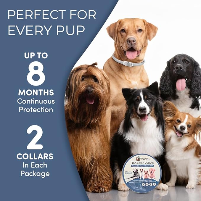 Flea and Tick Collar for Dogs, Cats – Natural Essential Oils – Long-Lasting 8 Month Protection – Waterproof, Adjustable – Safe for Puppies, Kittens, Sensitive Skin-Mewly Pet