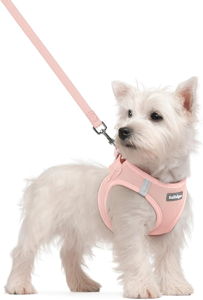 rabbitgoo Dog Harness Small Sized and Leash Set, Step in Soft Light Puppy Vest, Breathable Mesh Pet Harness, Reflective for Safe Outdoor Walking, Pink S-Mewly Pet