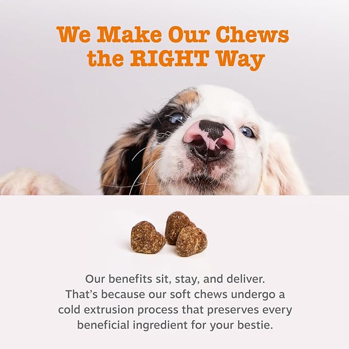 Zesty Paws Probiotics for Dogs - Digestive Enzymes for Gut Flora, Digestive Health, Diarrhea & Bowel Support - Clinically Studied DE111 - Dog Supplement Soft Chew for Pet Immune System - Pumpkin-Mewly Pet