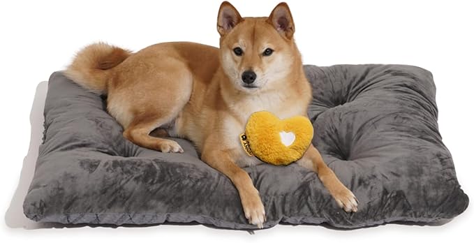 FUNNY FUZZY 35×23 Washable Dog Crate Bed,Orthopedic Cushion Mattress for Large Dogs-Fits 36 Inch Dog Crates, Reversible,Durable & Comfortable Pet Bed,L,Charcoal Grey-Mewly Pet