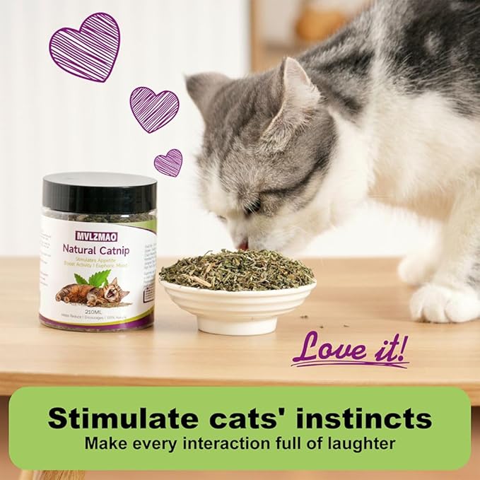 210ML Organic 100% Natural Catnip Cattle Grass Mint Taste Funny Cat Toy New Cat Toy Interactive Cat Toys Pet Supplies-Mewly Pet