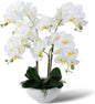 Ziwon Artificial Orchid Flowers Potted in Ceramic Pot, White Faux Phalaenopsis Orchids for Table Centerpiece, Realistic Fake Flower in vase for Home Office Decor Indoor