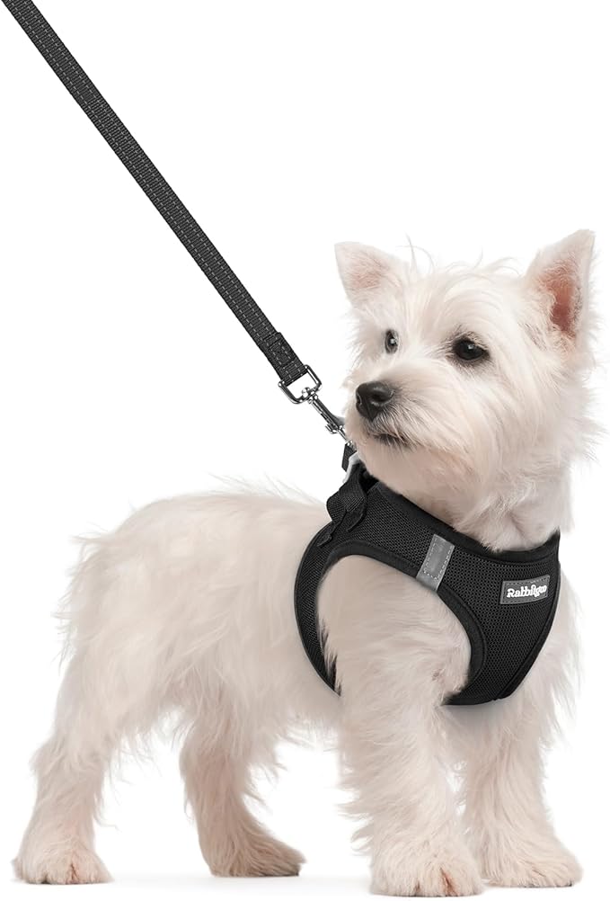 rabbitgoo Dog Harness Small Sized and Leash Set, Step in Soft Light Puppy Vest, Breathable Mesh Pet Harness, Reflective for Safe Easy Walking, Black S-Mewly Pet
