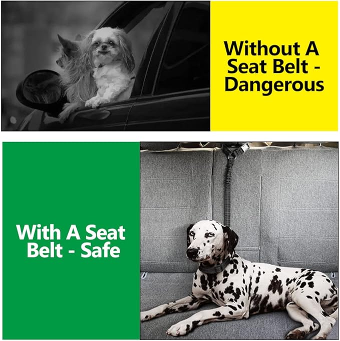 Plutus Pet Dog Seat Belt for Car Headrest, Reflective and Adjustable Restraint with Elastic Bungee for Safety, Vehicle Seatbelt Harness for Small Medium Large Dogs and Cats-Mewly Pet