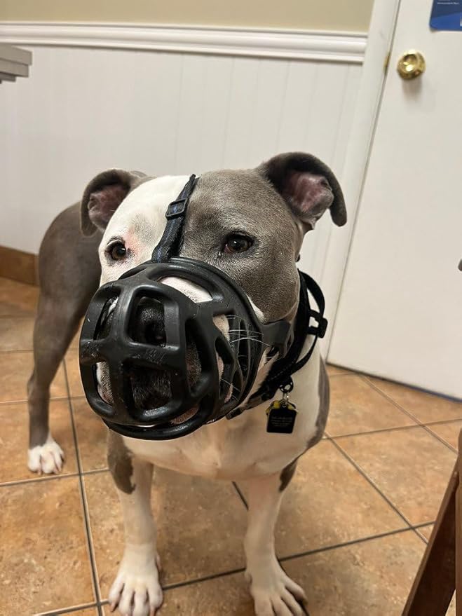 Mayerzon Dog Muzzle, Breathable Basket Muzzles for Small, Medium, Large and X-Large Aggressive Dogs Beagle German Shepherd Doberman, Cage Mouth Guard Stop Biting Chewing for Grooming Training-Mewly Pet