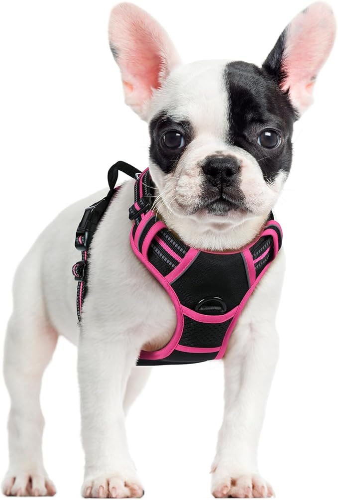 rabbitgoo Dog Harness No Pull with 2 Leash Clips, Adjustable Soft Padded, Reflective Oxford No Choke Pet Vest with Easy Control Handle for Large Dogs, Black & Hot Pink, S-Mewly Pet
