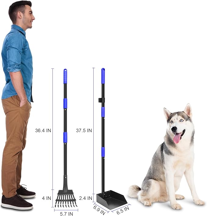 Pooper Scooper, Dog Pooper Scooper Tray and Rake Set with Adjustable Stainless Steel Long Handle for Large Medium Small Dogs (Blue)-Mewly Pet