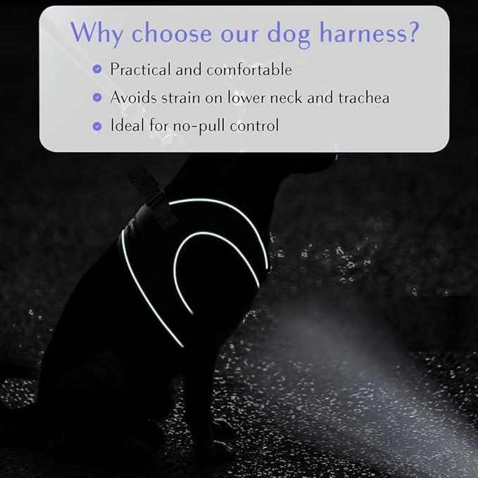 Comfort Fit Dog Harness No Pull with Adjustable Buckles Soft Padded Reflective Choke Step-in Pet Vest with Easy Control Handle for Small Medium Large Dogs & Puppies for Walking Running Training-Mewly Pet