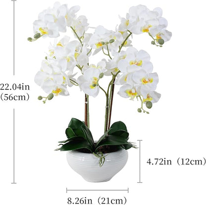 Ziwon Artificial Orchid Flowers Potted in Ceramic Pot, White Faux Phalaenopsis Orchids for Table Centerpiece, Realistic Fake Flower in vase for Home Office Decor Indoor