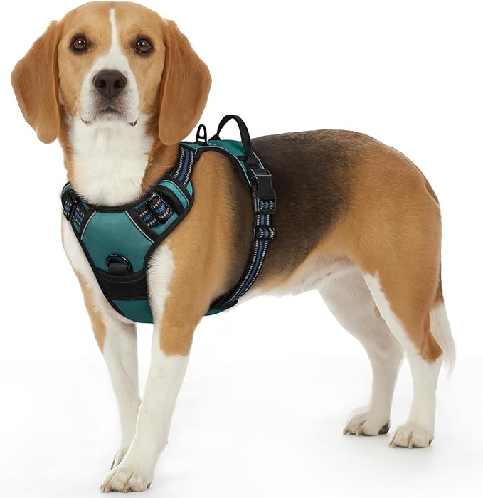 Eagloo Dog Harness Small Sized Dog, No Pull Service Vest with Reflective Strips and Control Handle, Adjustable and Comfortable for Easy Walking, No Choke Pet Harness with 2 Metal Rings, Dark Green, S-Mewly Pet