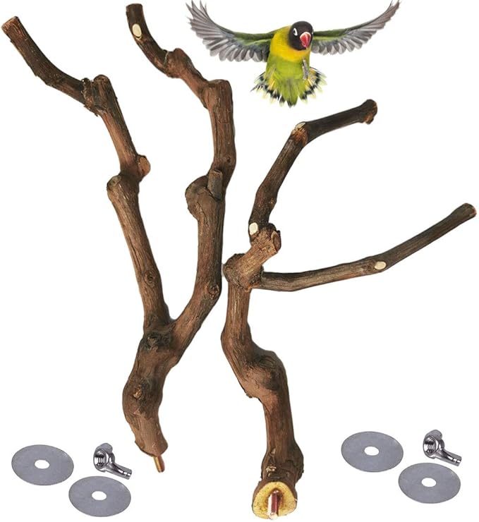 kathson Natural Parrot Perch Bird Stand Pole Wild Grape Stick Paw Grinding Fork Parakeet Climbing Standing Branches Toy Chewable Cage Accessories for Small Budgies Cockatiels Lovebirds 2PCS-Mewly Pet