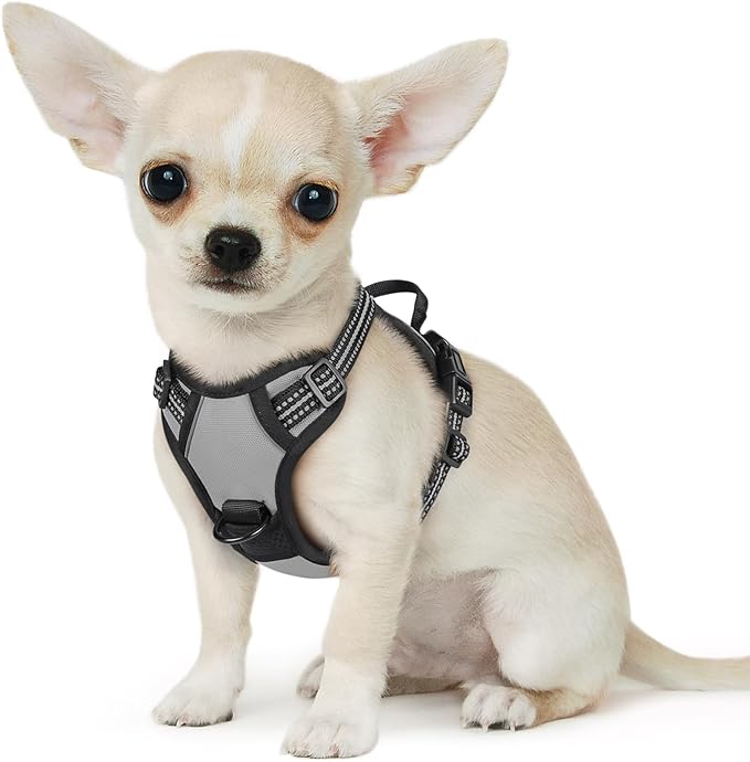 Eagloo Small Dog Harness No Pull, Service Vest with Reflective Strips and Control Handle, Adjustable and Comfortable for Walking, No Choke Pet Harness with 2 Metal Rings, Grey, XS-Mewly Pet