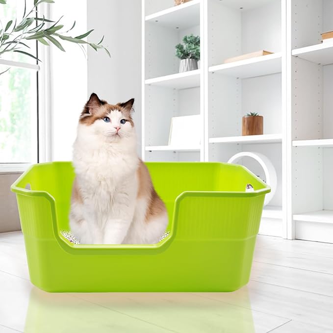 Large Litter Pan Low Entry,High Wall Litter Box Side Entry Plastic Cat Boxes for Indoor Cats Anti-Urine Leakage,High Sides Kitty Tray Open Kitten Toilet Low Entrance Green-Mewly Pet