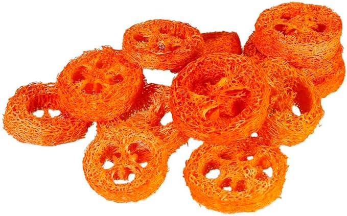 15 Pcs Fruit Flavored Loofah Slices Rabbit Chew Toys Guinea Pig Chew Toys Small Pet Chews Bunny Toys for Teeth Rabbit Toys-Mewly Pet