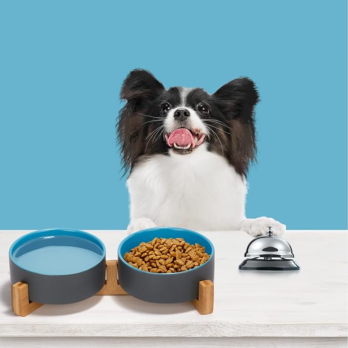 SPUNKYJUNKY Ceramic Dog and Cat Bowl Set with Wooden Stand, Modern Cute Weighted Food Water Set for Small Size Dogs (13.5OZ) & Medium Sized Dogs (28.7OZ) & Cats (1.7 Cups, 2 × Blue-Grey)-Mewly Pet