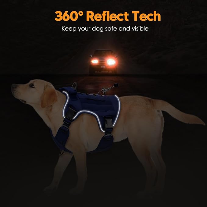 Heavy-Duty Tactical Dog Harness for Large Dogs, No Pull Adjustable Reflective Pet Vest with Molle System, K9 Military-Grade Control for Service Training, Outdoor & 10+ Breeds, Dazzling Blue, X-Large-Mewly Pet