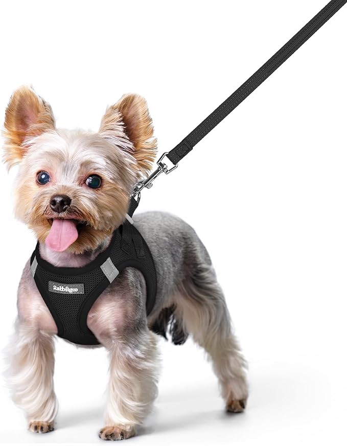 rabbitgoo Dog Harness Small Sized and Leash Set, Step in Soft Light Puppy Vest, Breathable Mesh Pet Harness, Reflective for Safe Easy Walking, Black XS-Mewly Pet