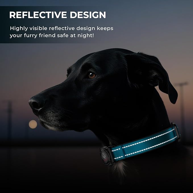 2025 Upgrade Airtag Dog Collar, Reflective Dog Collar with Airtag Holder, IP68 Waterproof| Metal Buckle| Ultra-Durable| Comfortable Padded, GPS Dog Collars for Medium Large Dogs (Blue,L)-Mewly Pet