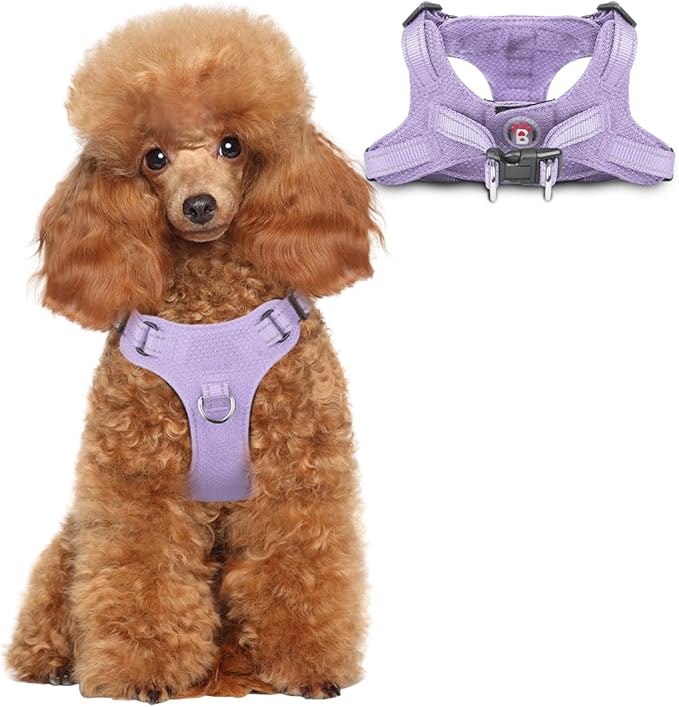 Dog Harness Step in Dog Vest Harness, Reflective Adjustable Puppy No Pull Harness Breathable Soft for Small and Medium Dogs Cats, Violet Purple, XS-Mewly Pet
