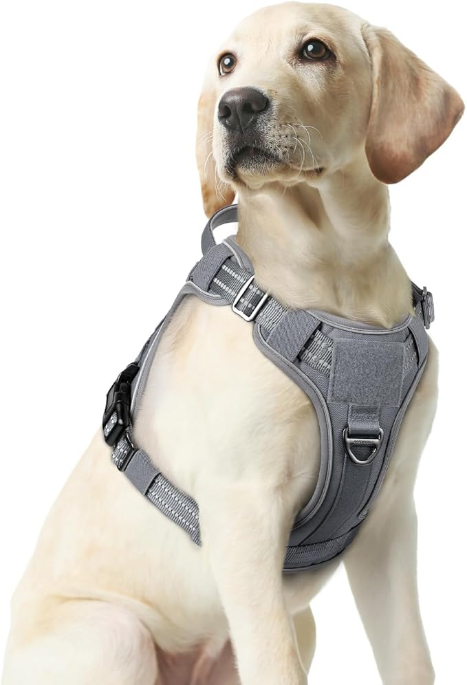 rabbitgoo Dog Harness Medium Sized No Pull, Tactical Service Pet Vest with Molle and Control Handle, Adjustable and Reflective Military Harness for Easy Walking and Training, Grey, M-Mewly Pet