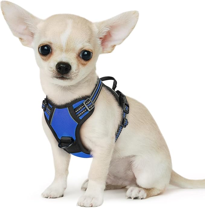 Eagloo Small Dog Harness No Pull, Service Vest with Reflective Strips and Control Handle, Adjustable and Comfortable for Easy Walking, No Choke Pet Harness with 2 Metal Rings, Blue, XS-Mewly Pet