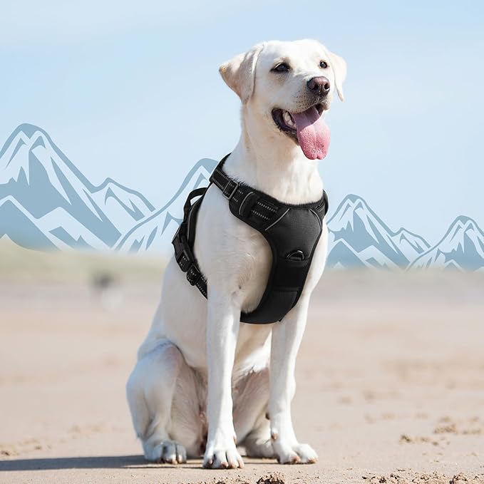 Eagloo Dog Harness for Large Dogs, No Pull Service Vest with Reflective Strips and Control Handle, Adjustable and Comfortable for Walking, No Choke Pet Harness with 2 Metal Rings, Black, L-Mewly Pet