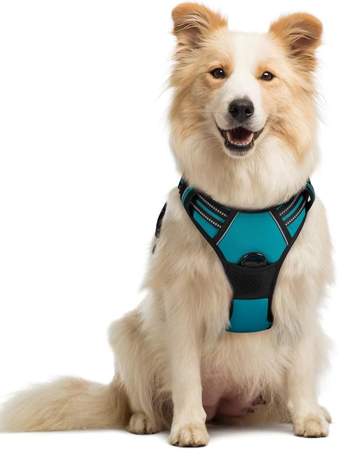 rabbitgoo Dog Harness No Pull with 2 Leash Clips, Adjustable Soft Padded, Reflective Oxford No Choke Pet Vest with Easy Control Handle for Medium Sized Dogs, Teal, M-Mewly Pet