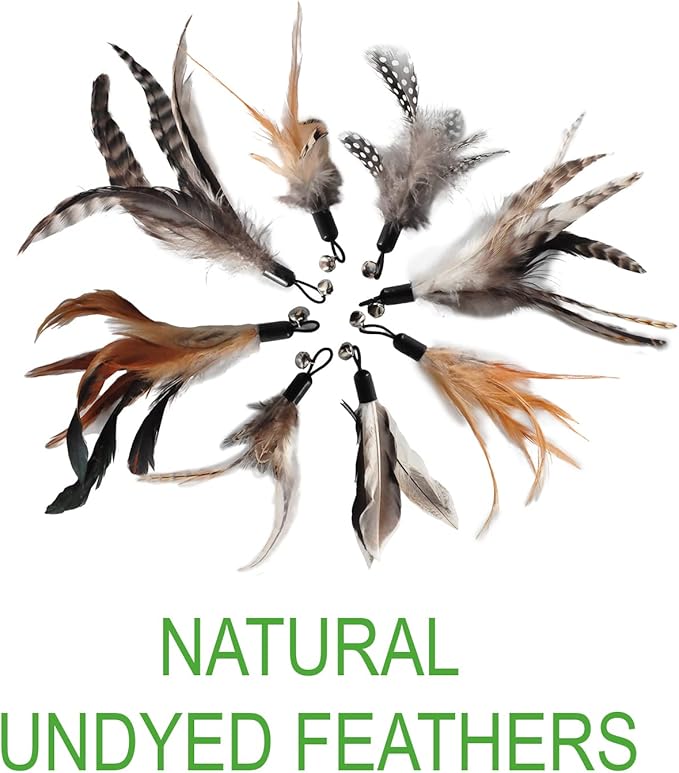 Cat Toys - No Chemical Dyeing Cat Feather Toys for Indoor Cats - Include Cat Wand and Natural Feather Refills-Mewly Pet