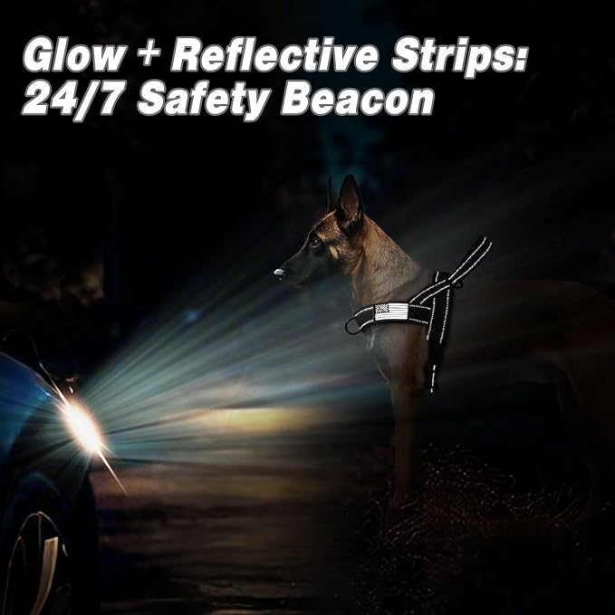 Forestpaw No Pull Dog Harness - Soft Flannel Padded Tactical Dog Vest Harness with Quick Release Buckle, Adjustable Reflective Pet Harness for Medium Dogs Walking Training,Black M-Mewly Pet