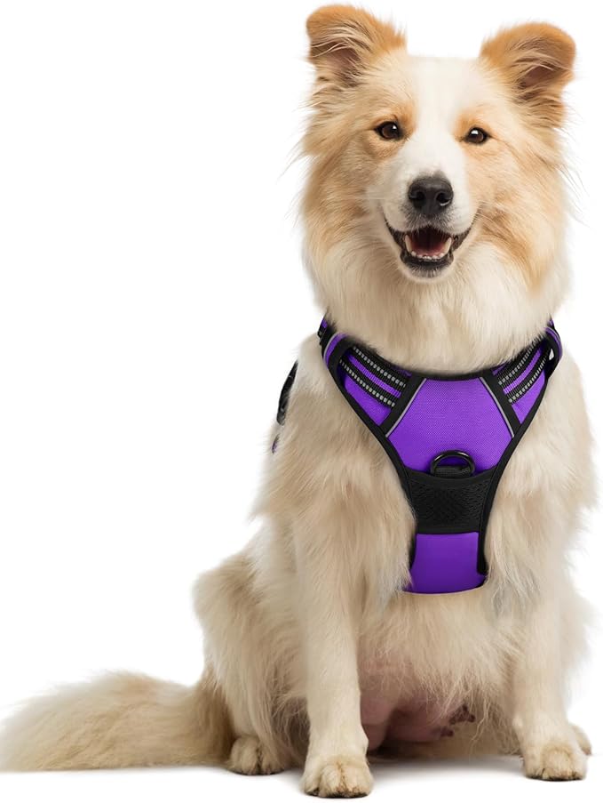 rabbitgoo Dog Harness No Pull with 2 Leash Clips, Adjustable Soft Padded, Reflective Oxford No Choke Pet Vest with Easy Control Handle for Medium Sized Dogs, Purple, M-Mewly Pet