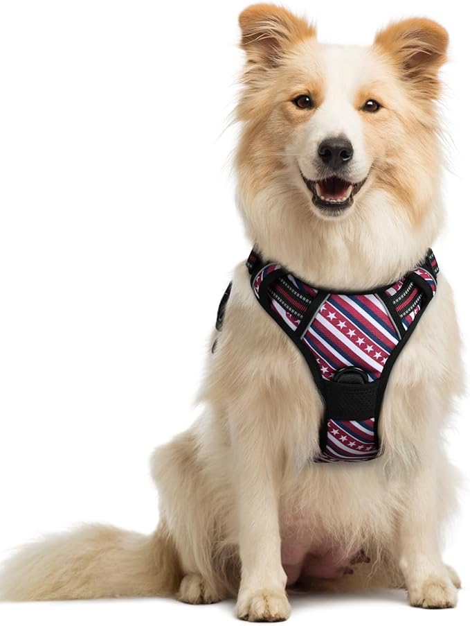 rabbitgoo Dog Harness No Pull with 2 Leash Clips, Adjustable Soft Padded, Reflective Oxford No Choke Pet Vest with Easy Control Handle for Large Dogs, Red Stripe, M-Mewly Pet