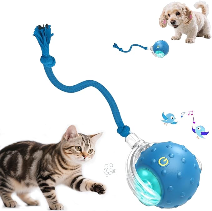 Interactive Cat Toys Ball - 2025 New Gen with Smart Obstacle Avoidance,Bird Chirps & Auto Wake-Up,Includes 1 Speedy Tail 2.0 Ropes, Ideal Kitten Toys for Bored Indoor Cats (Blue)-Mewly Pet