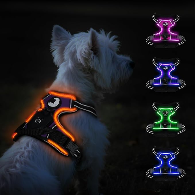 Taglory Light Up Dog Harness, Rechargeable No Pull Dog Vest with 3 Lightning Modes, Reflective Dog Harness with 2 Leash Clips & 4 Adjustable Slide Strips for Small Dogs, Purple-Orange, S-Mewly Pet