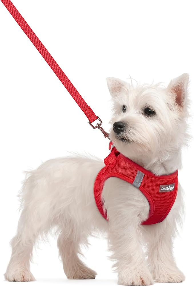rabbitgoo Dog Harness Small Sized and Leash Set, Step in Soft Light Puppy Vest, Breathable Mesh Pet Harness, Reflective for Safe Easy Walking, Red S-Mewly Pet