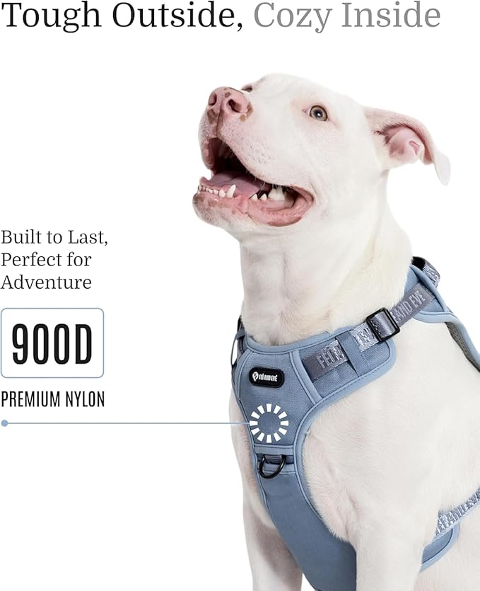 2025 New Edition, Fei & Eve MagEase Dog Harness - 3-Second Magnetic Buckles | 3-Point No-Pull Control | Heavy-Duty 900D Nylon | Dual Safety Handles | Breathable Mesh | Adjustable Fit |Small, Blue-Mewly Pet